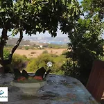 Villa Iolanda Sardegna Con Piscina Palau
